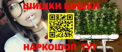 крисы Лесосибирск
