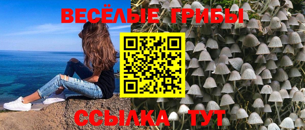 Ейск  Галлюциногенные грибы Cubensis  Галлюциногенные грибы мухоморы  Вход с VPN 